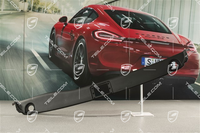 Tapicerka tylnej ściany, Targa