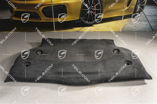 Hutablage Teppichverkleidung, schwarz Hutablage Teppichverkleidung, schwarz
