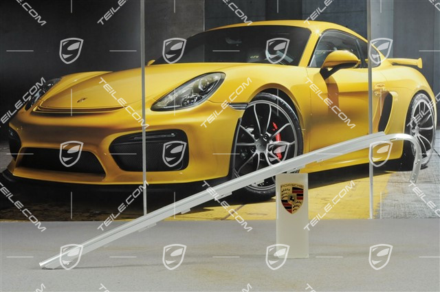 Zierleiste, Tür hinten, Alu-Look, R Zierleiste, Tür hinten, Alu-Look, R