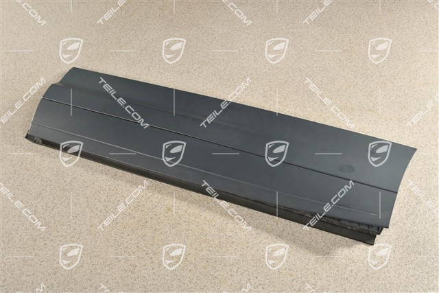 Strip, rear door, L