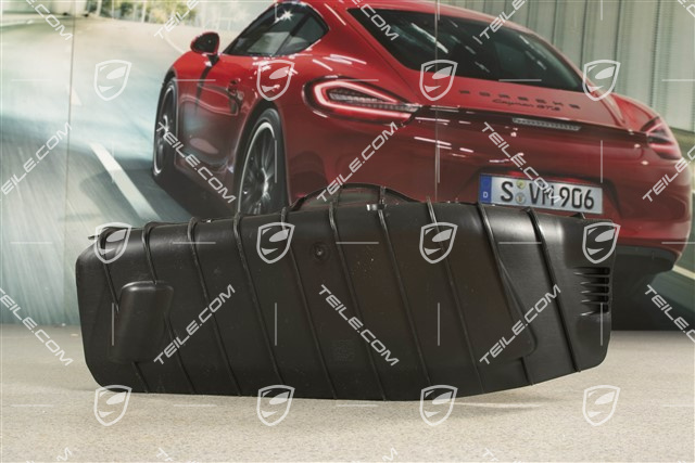 Steinschlagschutz / Spoiler für Lenker, R