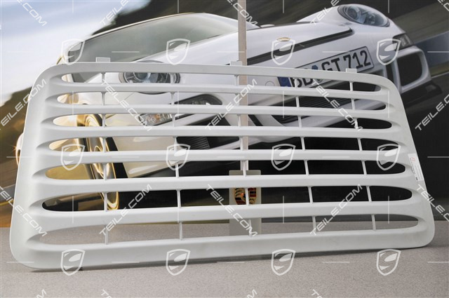 Air inlet grille (upper part) Air inlet grille (upper part)