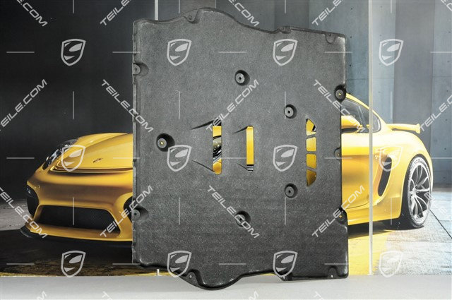 Abdeckung, Unterboden, vorne, C4/C4S/Speedster