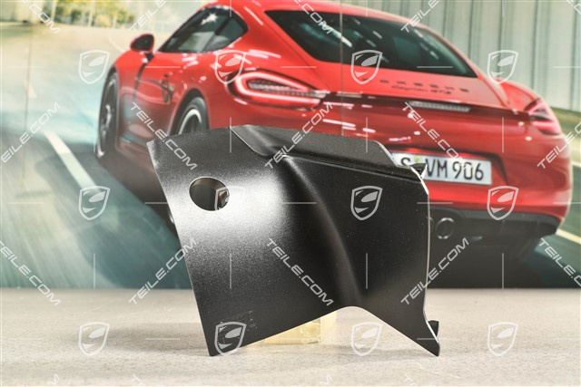 Tail light trim, R