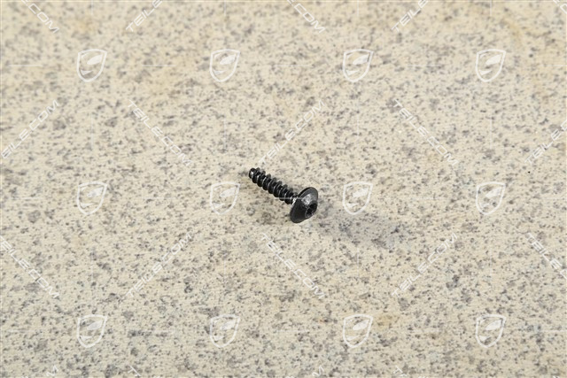 Oval-head screw 3,0X13,0 Oval-head screw 3,0X13,0