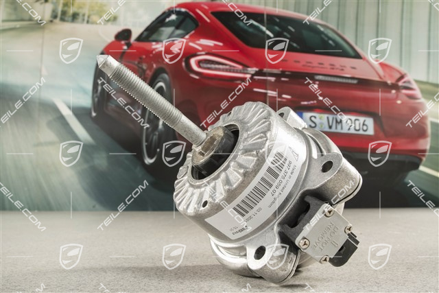 Hydraulic mount, Turbo Coupe, Active Drivetrain Mount (PADM), L