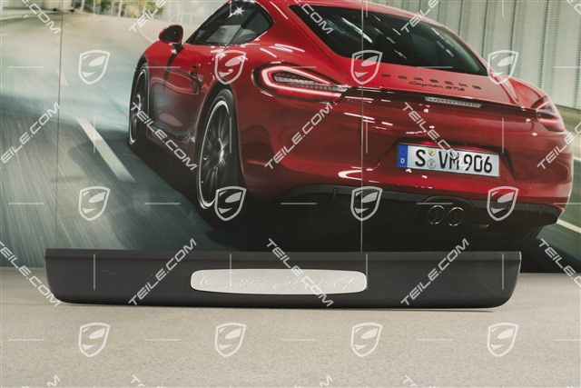 Einstiegleiste, lackiert, Carrera 4, L=R