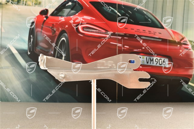 Rear heat shield, support, L