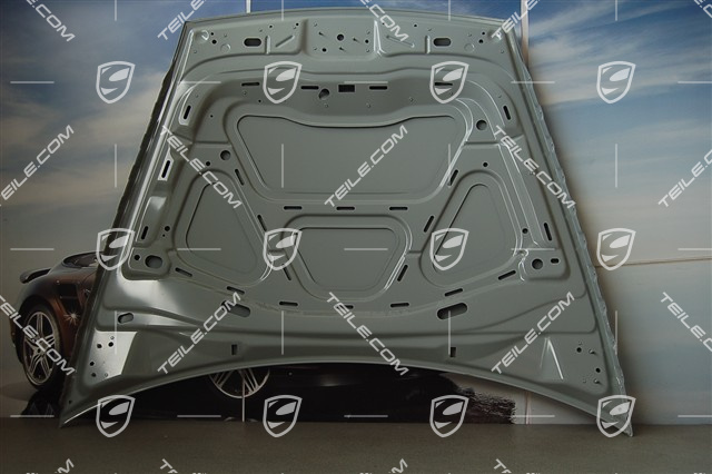 Engine lid (front bonnet)