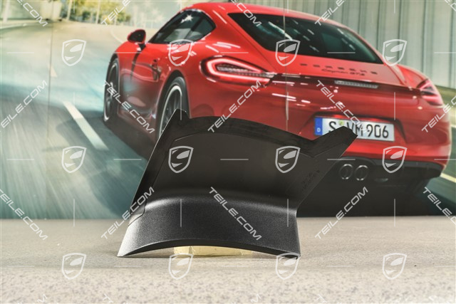 Rear light cover, outer, R