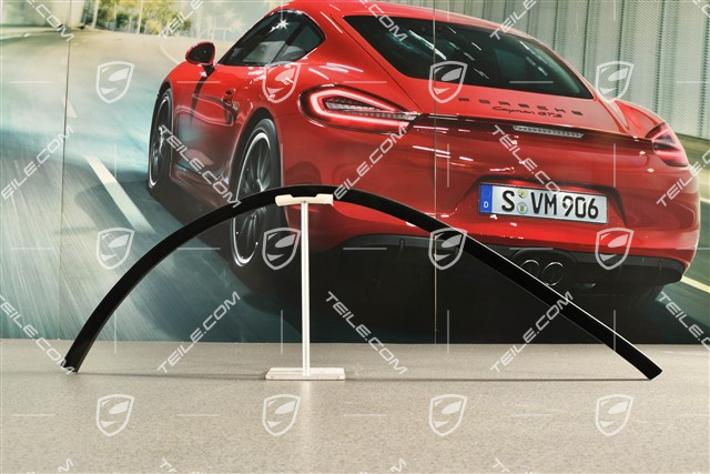 Cabrio, Türschachtabdichtung / Dichtung Türschacht, Innen, L
