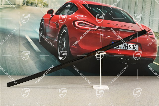 Rear door moulding trim in High gloss black, R