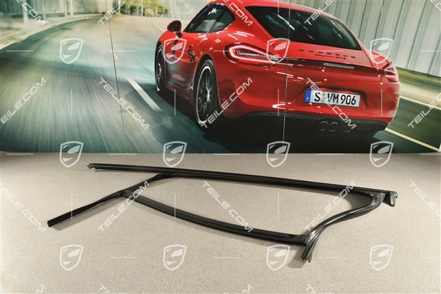 Coupe, Dichtung für Fensterführung, vorne, R