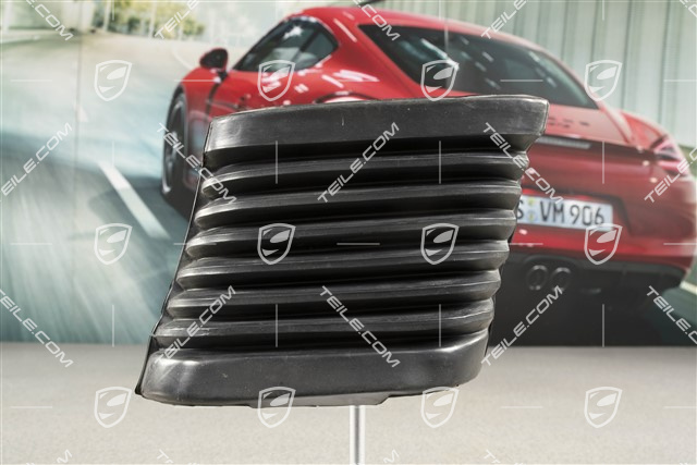 Bumper bellows, R