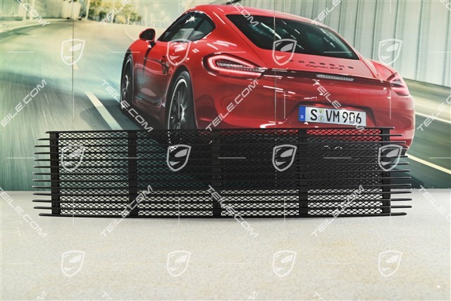 Ventilation grille, engine lid