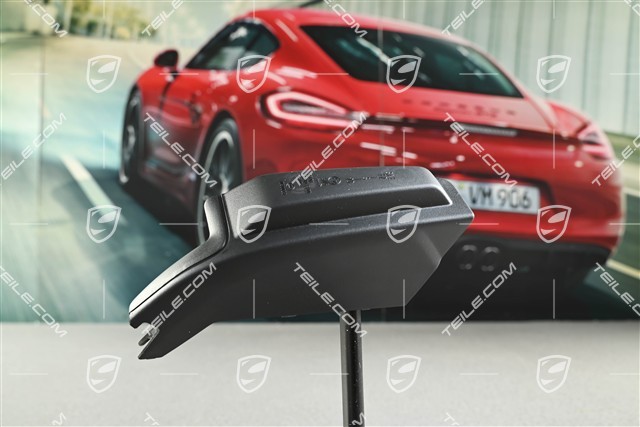 Tail light trim, L