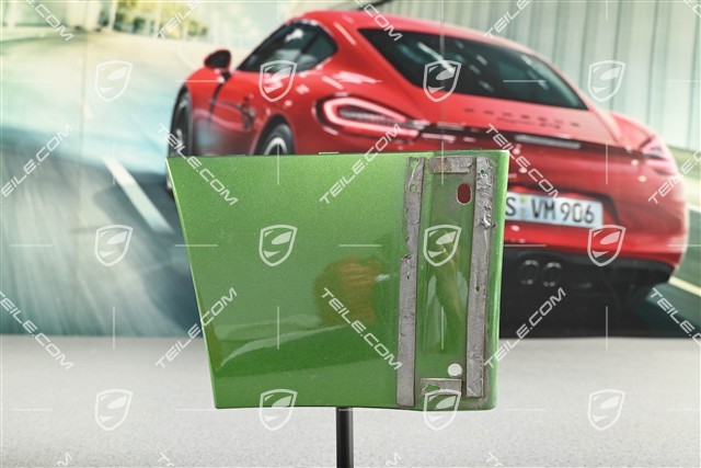 Front Wing / Fender cover / moulding, L