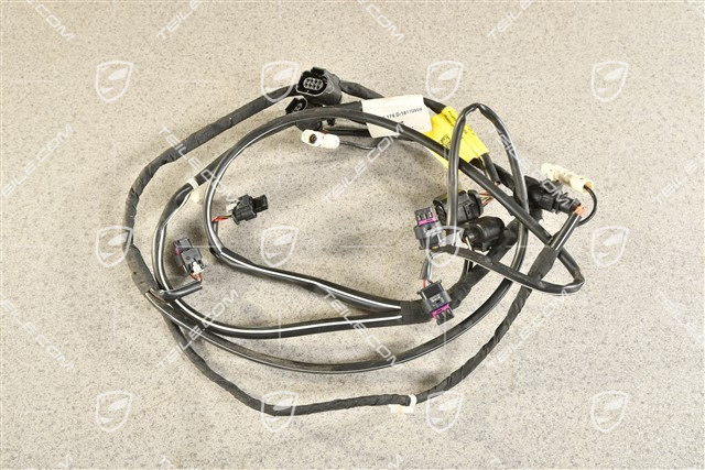 Kabelstrang Verkleidung hinten, C2/C2S, PDC, Kamera