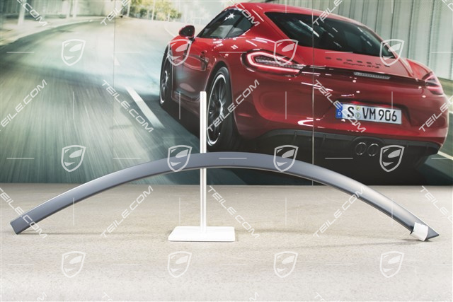 Wide wheel arch cover, rear door, paintable, L