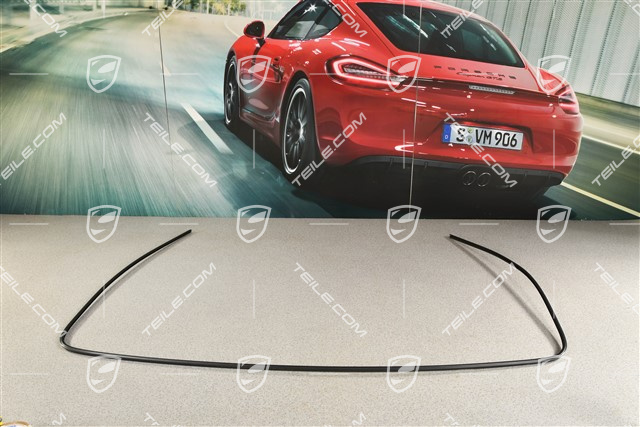 Windsceen trim frame