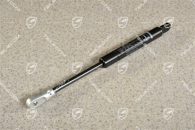 Gasdruckfeder