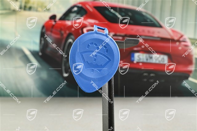 Washer filler cap