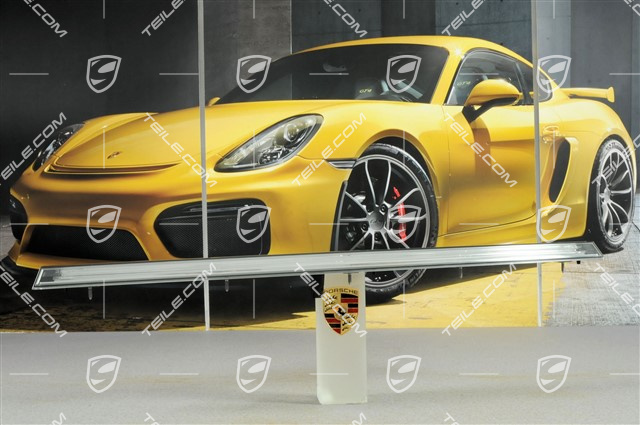 Reflector blende, Carrera 4 / 4S, in clear glass look