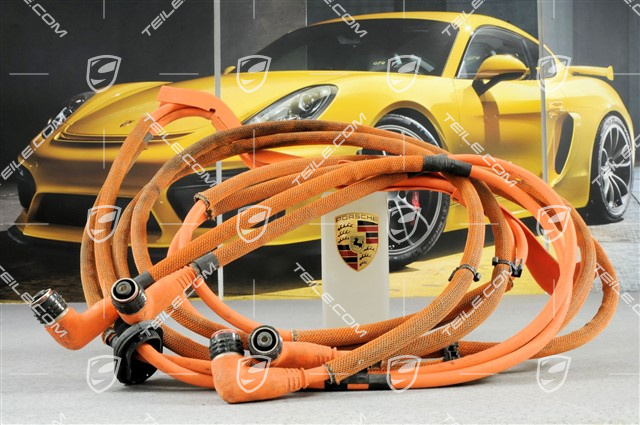 Wire set, Power and control electronics for electric drive Wire set, Power and control electronics for electric drive