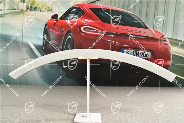 Wide wheel arch cover / flared wheel arches, rear door, R
