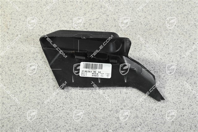 Tail light trim, L