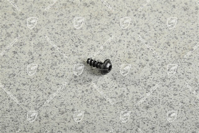 Pan / Oval-head screw M5 x 12 Pan / Oval-head screw M5 x 12
