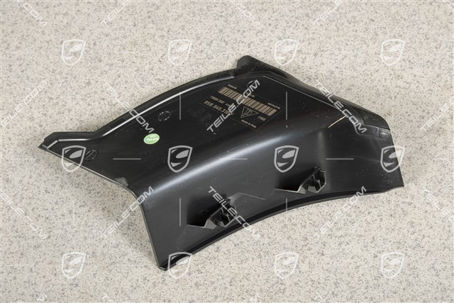 Rear light cover, outer, R