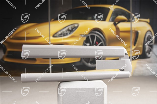 Front seat rail cover, Platinum Grey, L