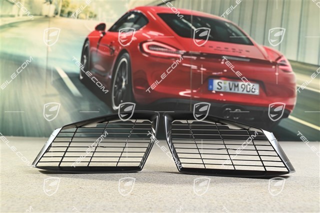 Retrofit kit / set Air inlet protective grille, L+R