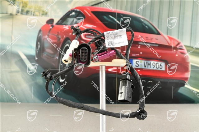 Kabelstrang, Stossfänger Hinten, Rückfahrkamera
