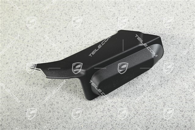 Tail light trim, R