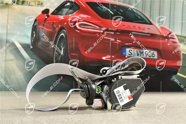 Coupe / Targa, Sicherheitsgurt, vorne, Silber, L