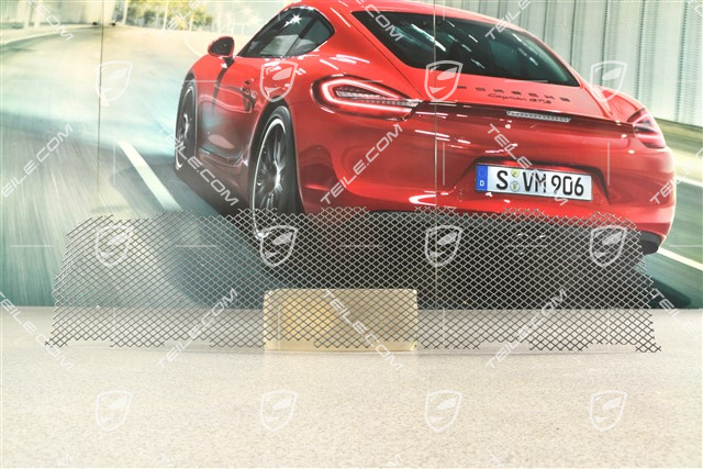 Ventilation grille, centre