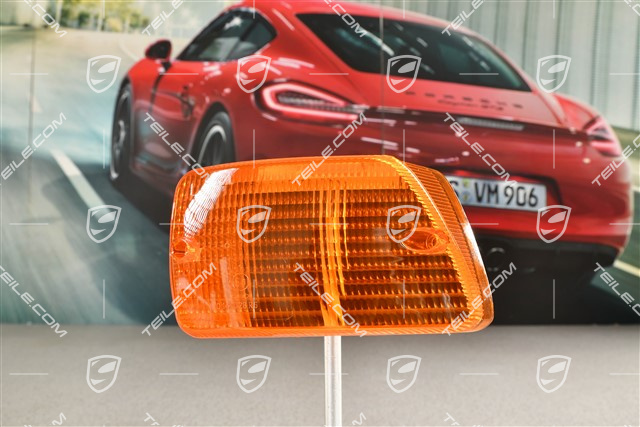 Lichtscheibe für Blinkleuchte, L