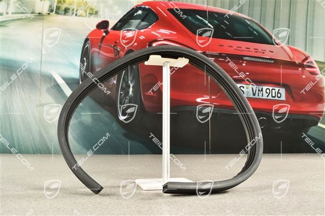 Rear bumper seal / piping, lateral, L=R