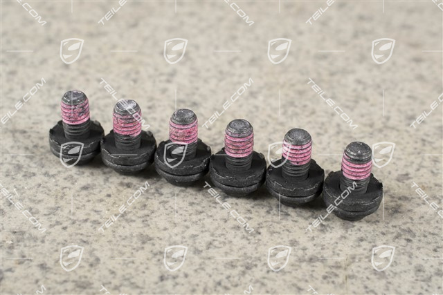 Glass roof screw M5 x 12,5
