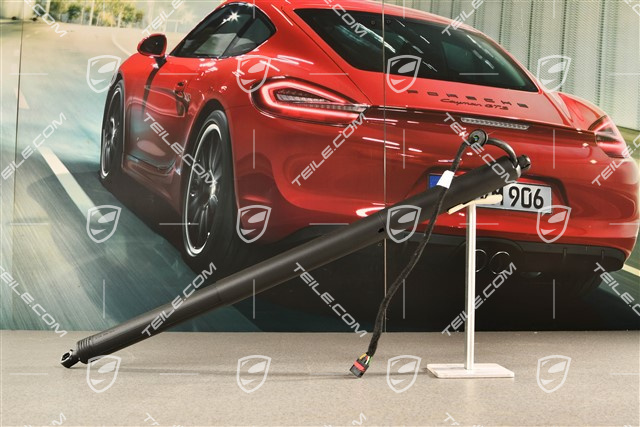 Damper cylinder Trunk / boot lid / automatic closing option / Powerlift