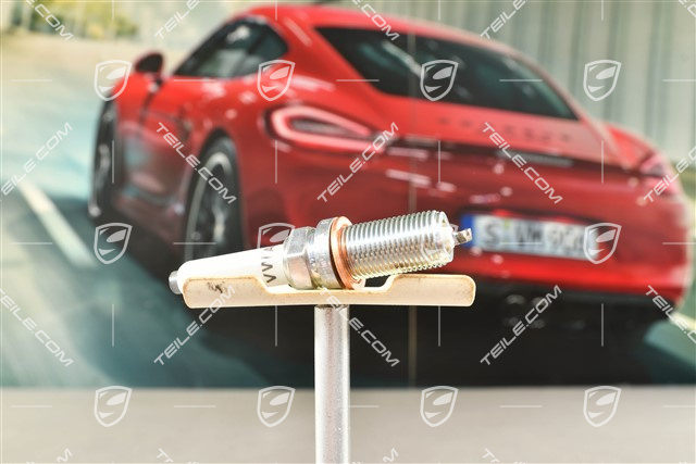 Spark Plug
