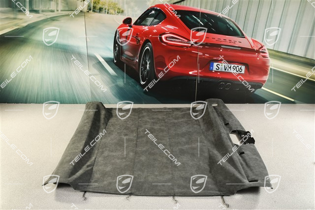 Dachverkleidung, coupé ohne Schiebedach, Alcantara, schwarz