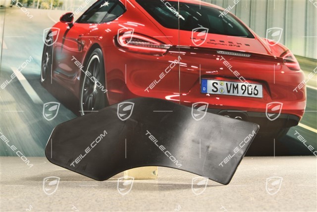 Control arm spoiler / Brake air deflector, L