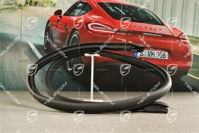 Türdichtung, innen, Cabrio, L