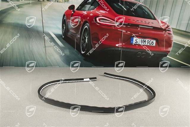 Seal, Front bumper
