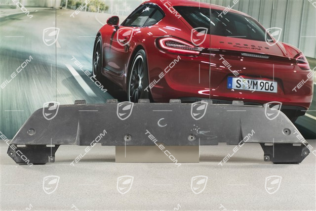 Frontspoiler / Unterbodenverkleidung, vorne, Schwarz