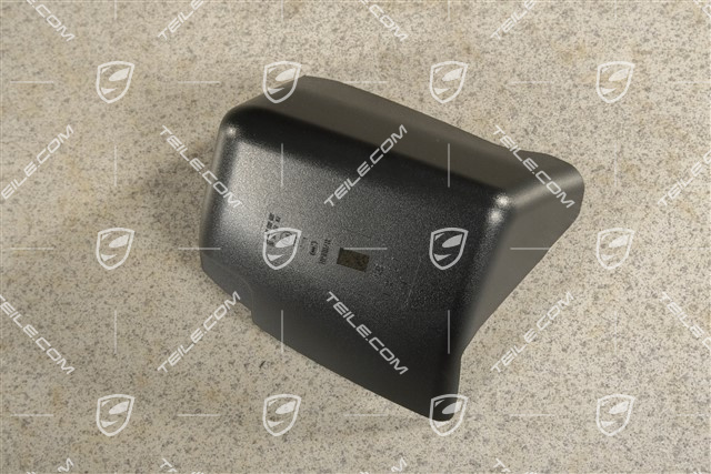 Tail light centre, trim, L
