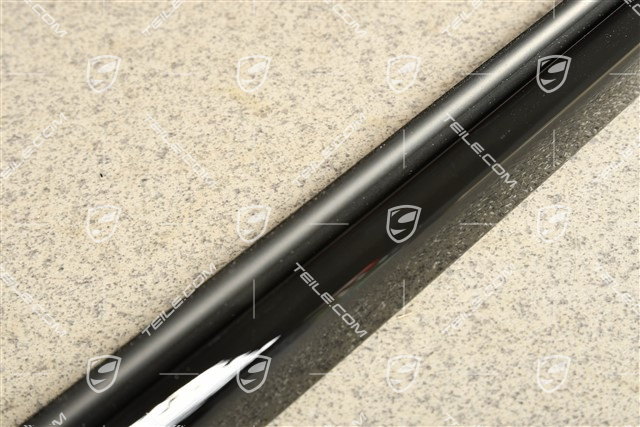 Moulding trim, incl. gasket, rear door, Glossy Black, L